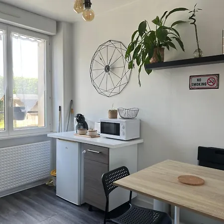 Joli T1 Avec Parking Gratuit ברסט